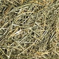 thumbnail image 2 of Small Pet Select Oat Hay Pet Food, 10 Lb., 2 of 5