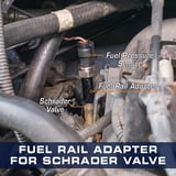 Ford Schrder Rhadenull