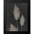 thumbnail image 2 of Singh, Dan 12x14 Black Modern Framed Museum Art Print Titled - Midnight Pampas Grass II, 2 of 5