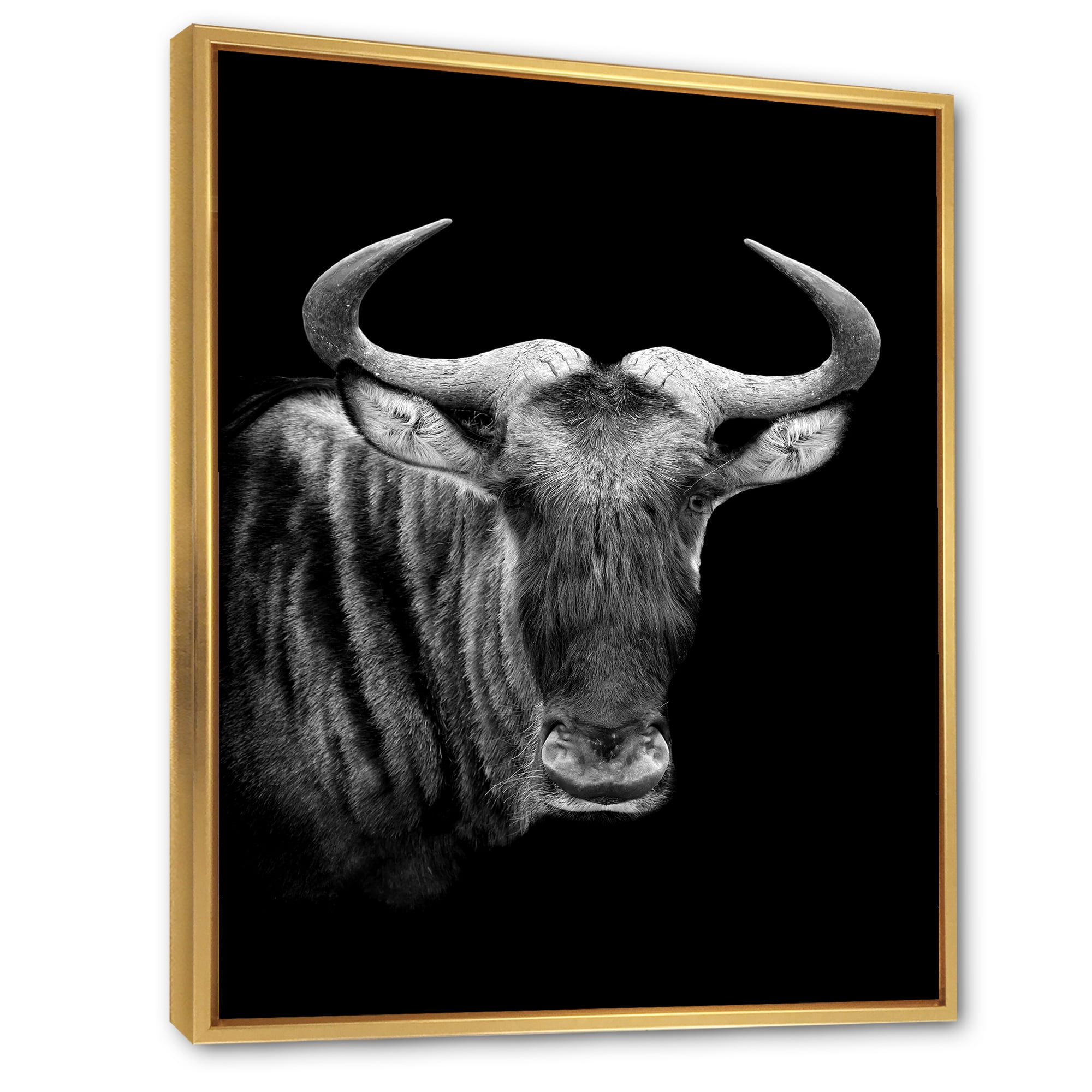 Designart 'Black and White Portrait Of Wildebeest' Farmhouse Framed Canvas Wall Art Print
