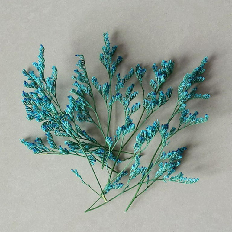 Jasmine Flowers - Dried Botanicals for Crafting