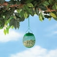 thumbnail image 2 of Seed Ball, 2 of 4