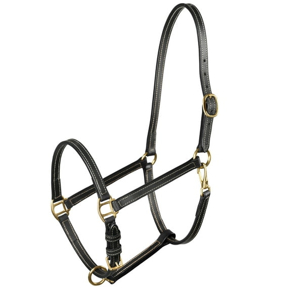 Cob Size Horze Fremont Leather Horse Halter Black