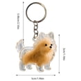 thumbnail image 3 of B Pet Hair Memorial Keychain Transparent Window Refillable Dog Cat Hair Storage Bottle Keepsake Pendant, 3 of 9