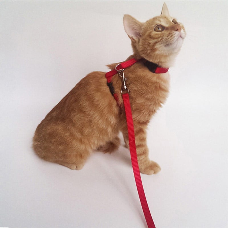 Pet Cats Adjustable Breathable Vest Harness Kittens Chest Strap with