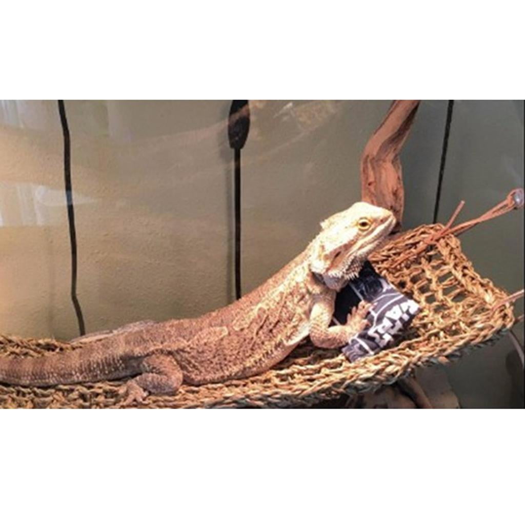 1 piece Hammock, Reptile Lounger Natural Seagrass Seaweed Fibers for , Bearded , Geckos, Anoles, Iguanas, Geckos and Hermit Crabs - #1 Rectangle