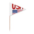 thumbnail image 1 of Drapeau National Américain Motif Rouge Cure-Dent Triangle Toppers de Cupcake Drapeau, 1 of 3