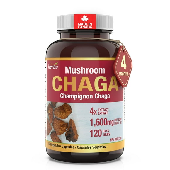 Herba Chaga Mushroom Capsules 400mg - 120 Vegetable Capsules | 4:1 High Concentrate - 1600mg Equivalent Chaga Mushroom Powder | 100% Natural Wild Harvested Chaga Capsules | Source of Antioxidants