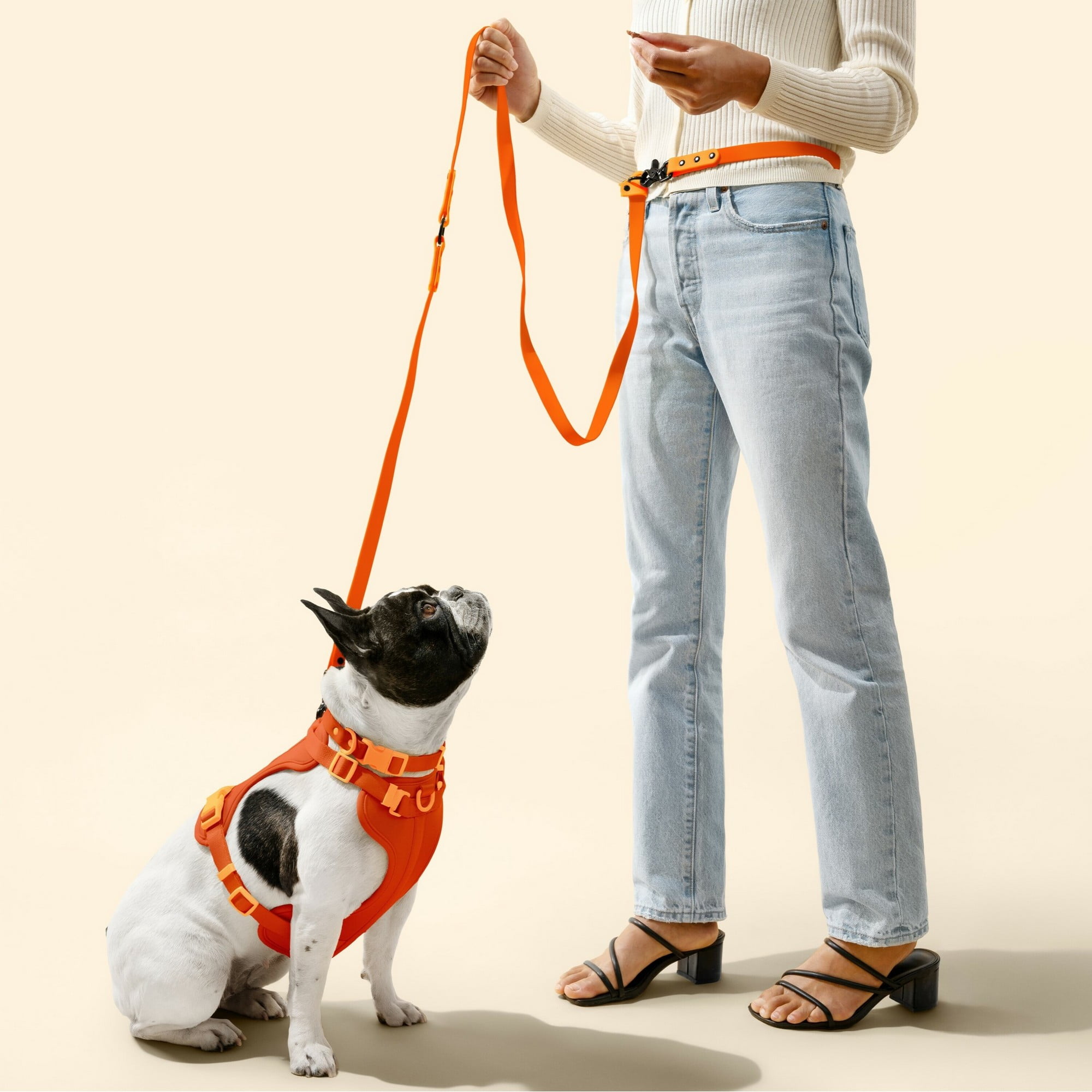 THE LICKER STORE Arlo Small Adjustable Soft Padded No Pull Pet Harness with 3 Buckles and 3 Leash Clips, Dark Orange, HNS1001A