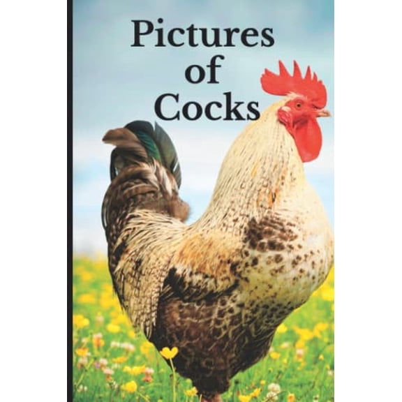 Pre-Owned Pictures of Cocks: Funny White Elephant, Yankee Swap, Secret Santa Gift, (Stupid Gifts Ideas), 9798845633934, , Paperback,