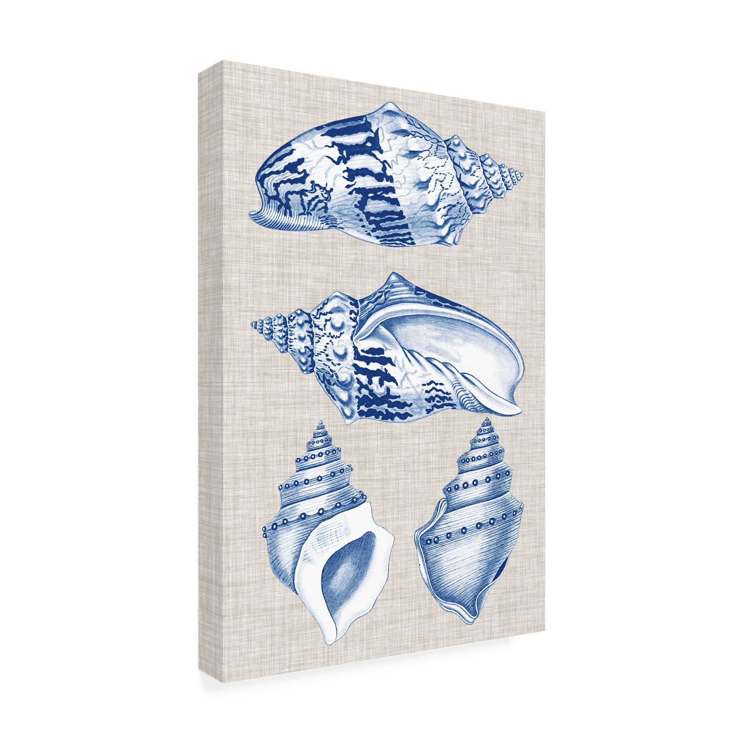 Vision Studio 'Navy And Linen Shells II' Canvas Art