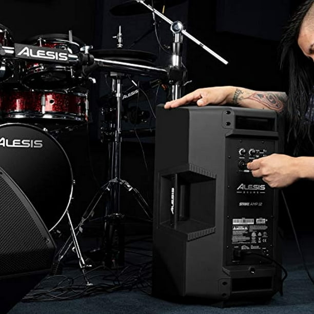 Alesis 2024 amp 12