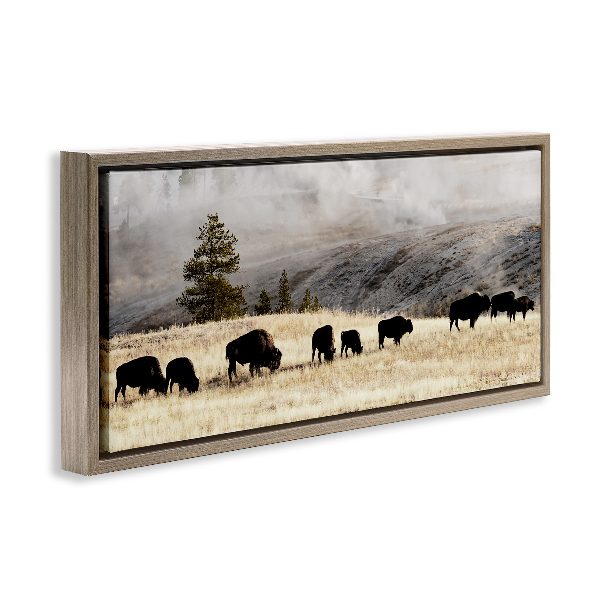 Stupell Industries Grazing Bison Foggy Countryside Animals & Insects Photography Brown Floater Framed Canvas Art Print Wall Art, 25 x 11