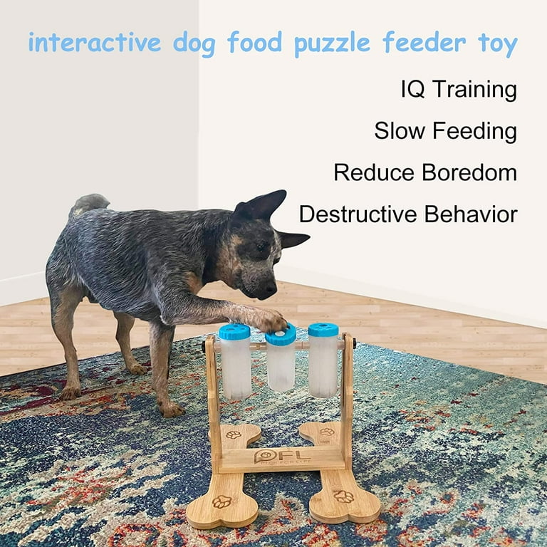 Puzzle toys for small dogs hotsell
