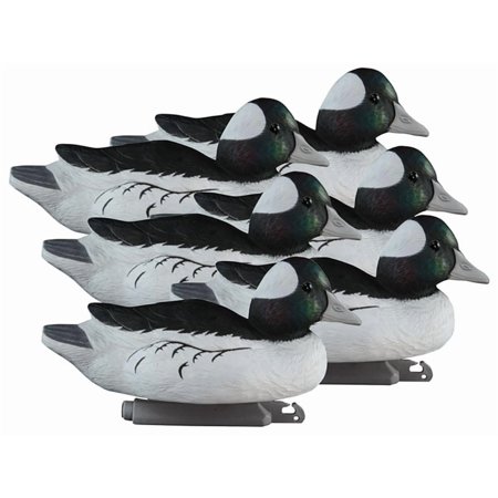 Higdon Standard Foam Filled Bufflehead Duck Decoy Polymer 6PK