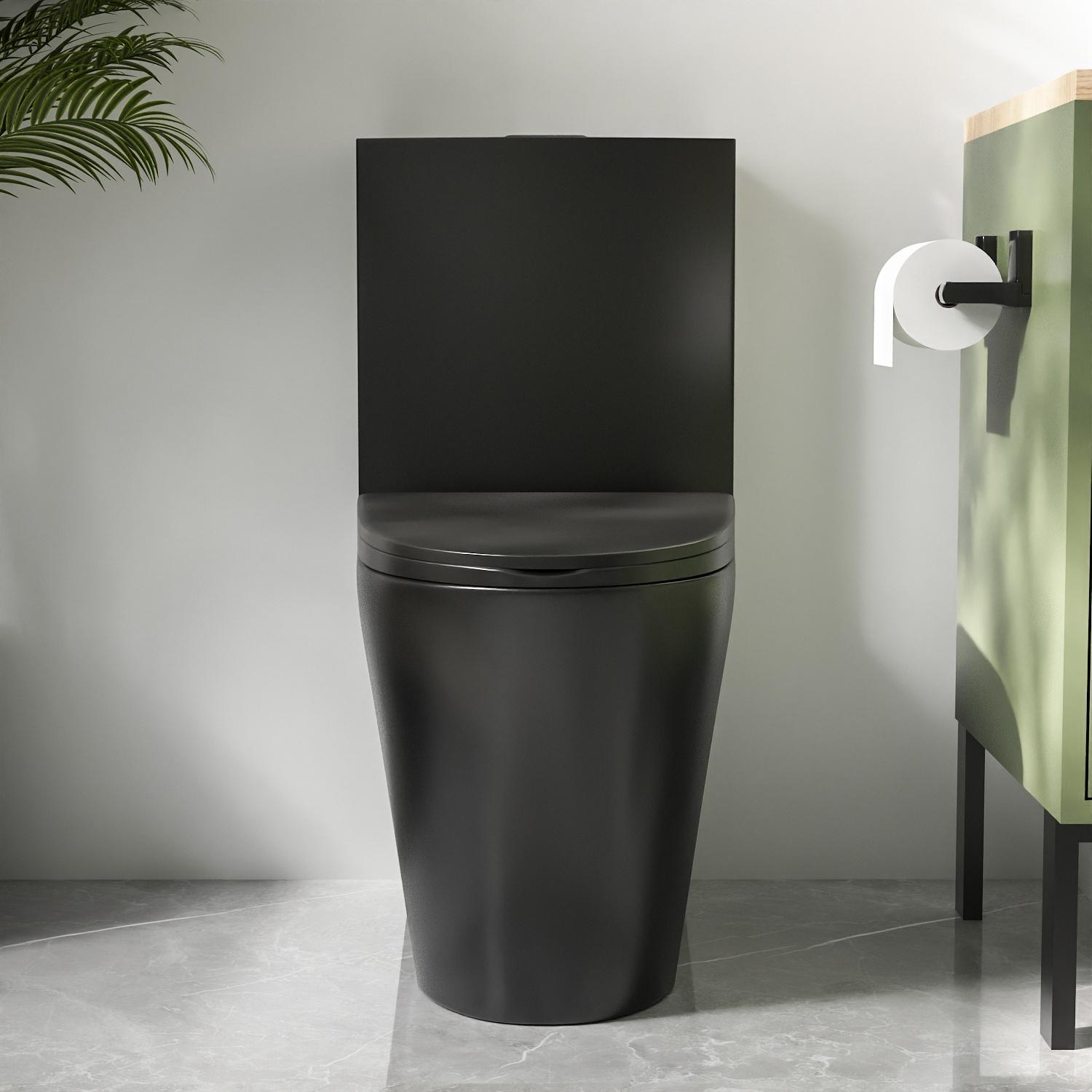 Ace 1-Piece 0.8/1.28 GPF Dual Flush Elongated Toilet in Black, Seat Included