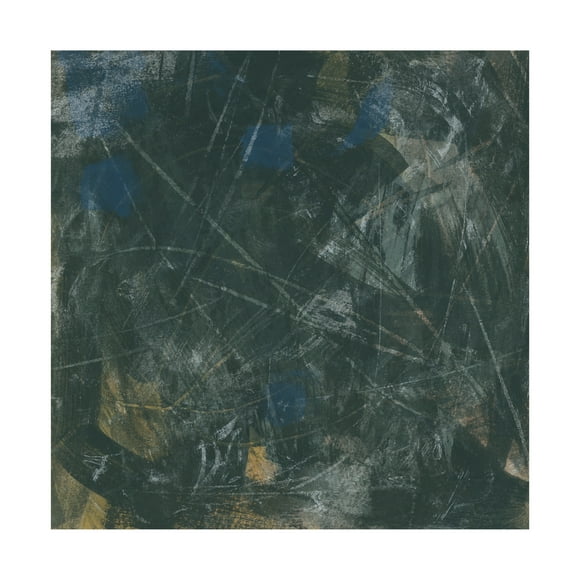 Trademark Fine Art June Erica Vess  Midnight Constellation II Canvas Wall Art