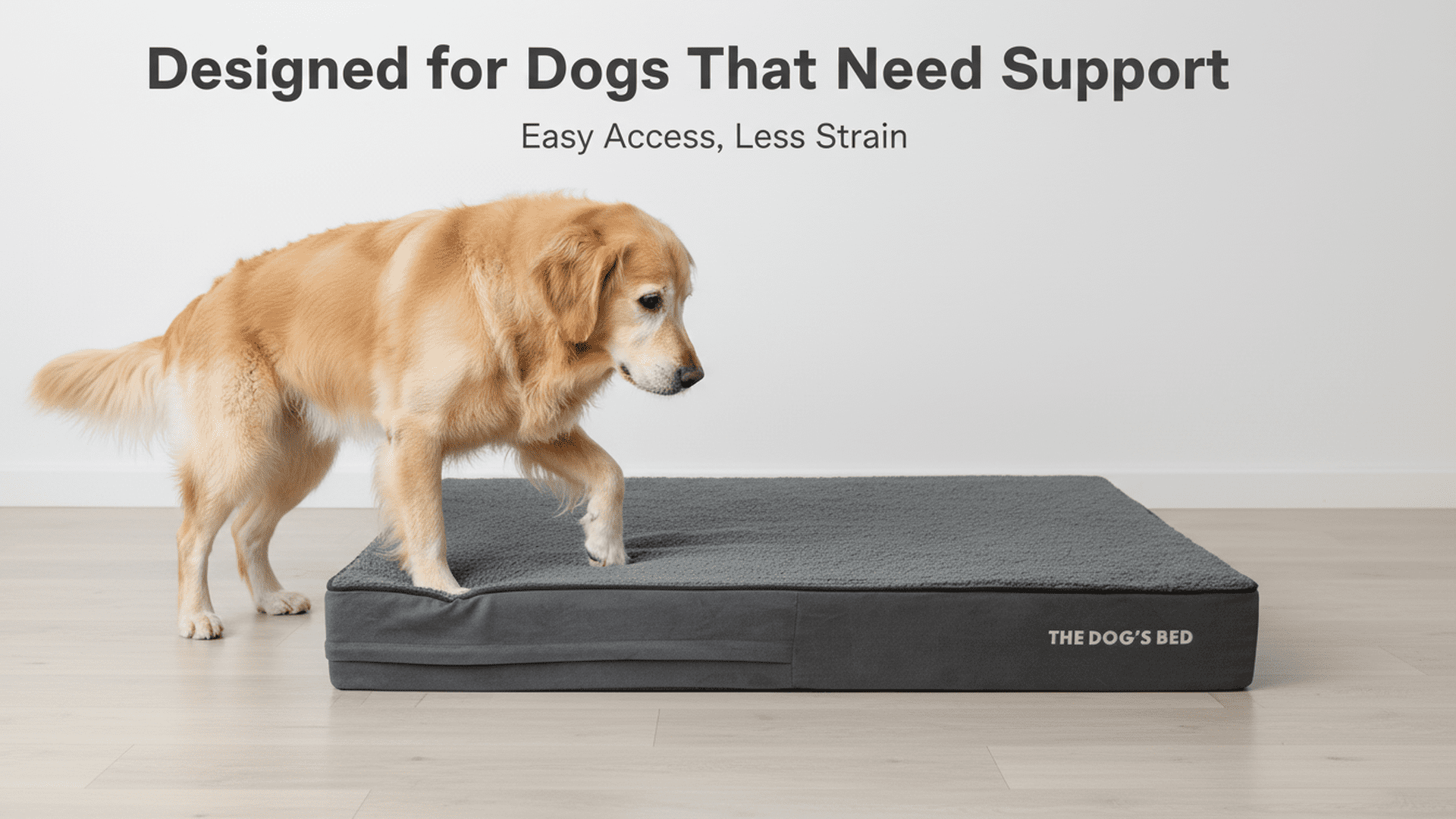 The Dog’s Bed Orthopedic Memory Foam Dog Bed, XL Grey Plush 46x28x4, Pain Relief for Arthritis, Hip & Elbow Dysplasia, Post Surgery, Lameness, Supportive, Calming, Waterproof Washable Cover