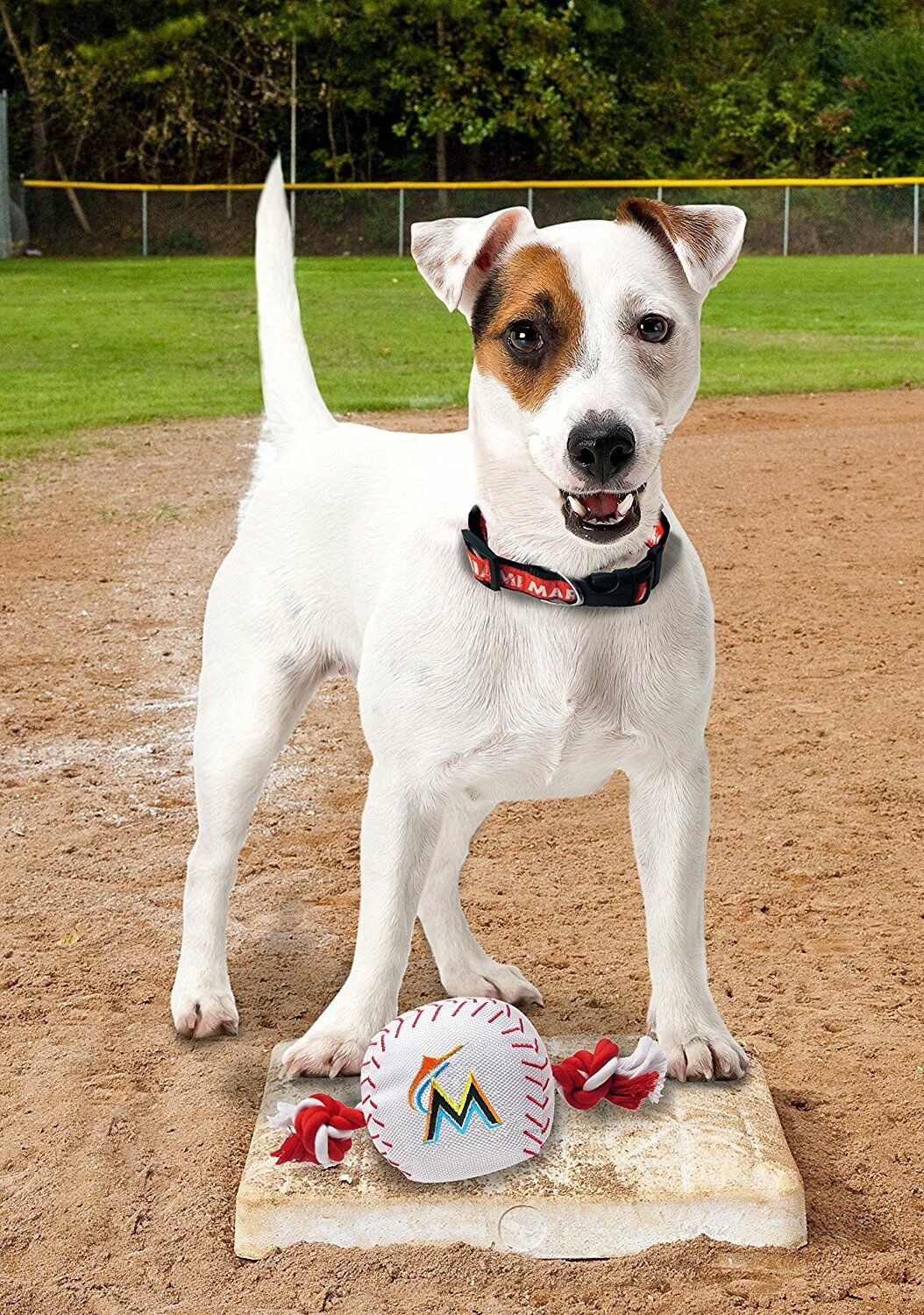 Pets First MLB Miami Marlins Nylon Baseball Rope Tug Toy, MLB Licensed, Heavy Duty and Durable Toy