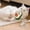A, variant on Cat Toys, Teaser Wand with Bell Sound for Indoor Cats, Interactive Chew Toy for Kittens, Self-Play Grinding Toy for Stress Relief,C