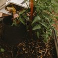 thumbnail image 2 of Tumbleweed Worm Feast In Ground Home Garden Farm Recycle Organic Waste Composter, 2 of 8