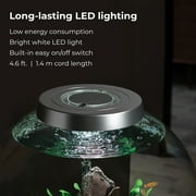 biOrb CLASSIC 60 Aquarium with Standard Light - 16 gallon, silver