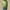 #C01-Mint Green, variant on Xyxonk Shamrock Shirt Women Dressy Mock Neck Shamrock Shirt Oversized St Patricks Day Print Curved Hem Long Sleeve Graphic Funny T-Shirts Holiday Top Cute Clothing Army Green S