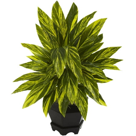 UPC 840703111845 product image for Nearly Natural Ginger Plant with Black Planter | upcitemdb.com