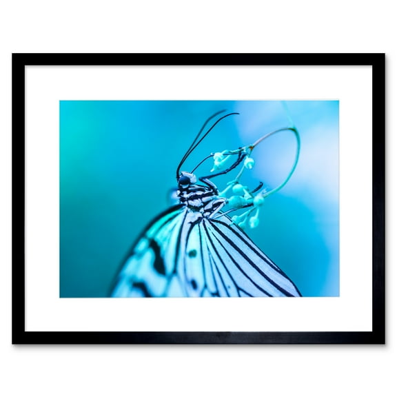 Butterfly in Blue Macro Art Print Black Framed Poster Wall Decor 9x7 inch