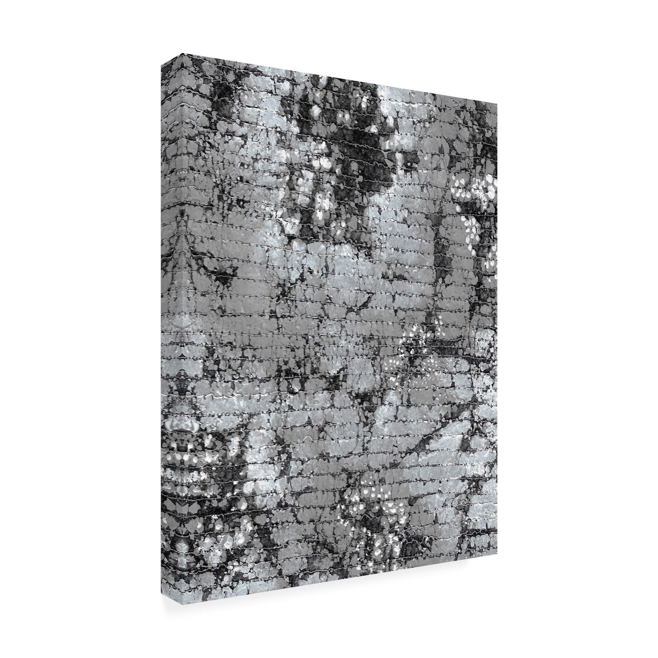 Canvas Wall Art - Maliq 'Stone 3' Wall Art for Living Room, Bedroom, or Office Décor by Trademark Fine Art - 14 x 19 Inches