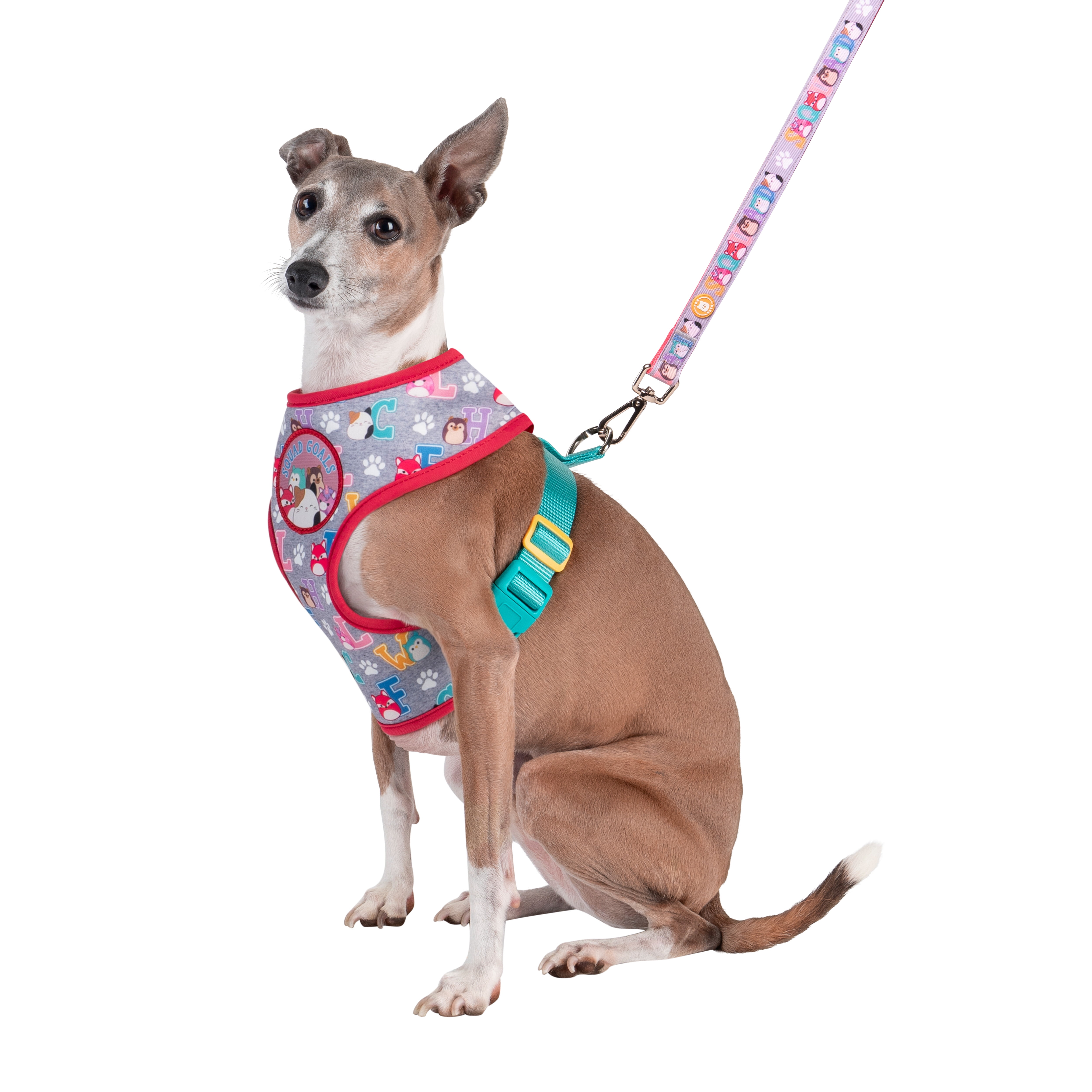 Squishmallows Original Squad Goals Pet Harness (Small) - Official Jazwares Pets Apparel