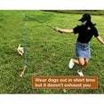 thumbnail image 3 of maskred Pets Play Toy Interactive Teasers Entertainment Toys Rope Outdoor Backyard, 3 of 6