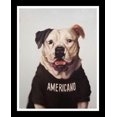 thumbnail image 1 of Americano, By Lucia Heffernan-Framed Art, 1 of 1