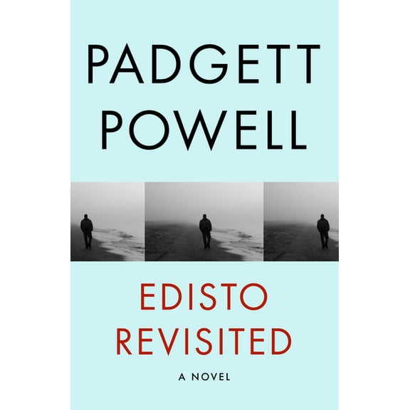 Edisto Revisited: A Novel