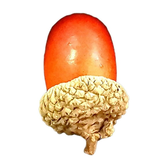 1Pc Artificial Lifelike Small Acorn Nutty Craft Acorns for House Autumn Favor& Kitchen Decor,Artificial Acorn Decor Fake Nutty Craft Mini Acorn with Natural Cap Fruit Props Simulation for Fall Home