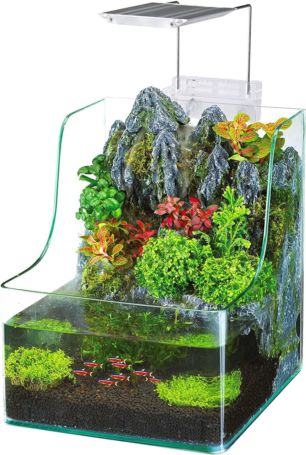 Penn Plax Aqua Terrarium Plantation Réservoir