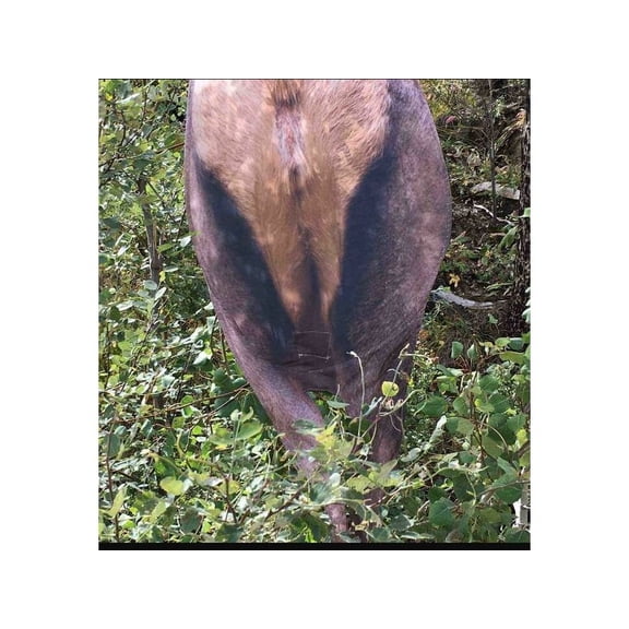 Montana Decoy Back Country Elk Decoy