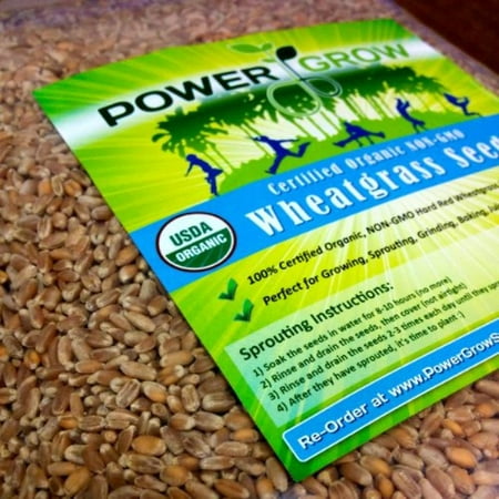 Certified Organic Non-GMO Wheatgrass Seeds - 5 Pounds Wheat Seed - Guaranteed to (Best Way To Grow Wheatgrass Indoors)