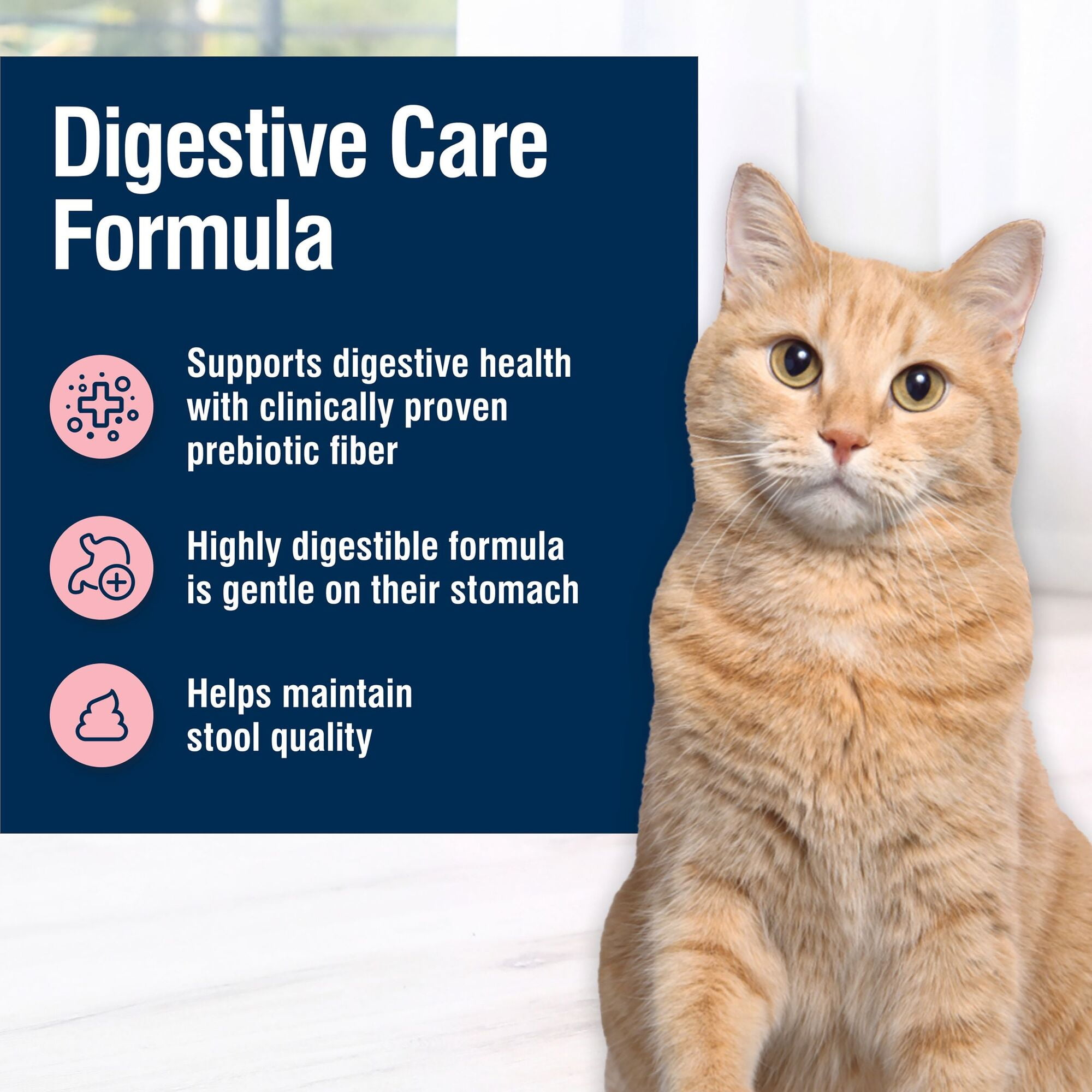 Blue Buffalo True Solutions Digestive Care Natural Dry Cat Food, Chicken, 3.5-lb. Bag
