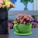 thumbnail image 3 of Cajas de ventana de plantas de flocado hechas a mano, contenedores de plantas de flores pequeñas, flores flocadas taza de té Sharpla macetas, 3 of 8