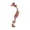 🥑 Multicolor_New#1292, variant on Pet Rope Chew Toy String Set Tough Teething Toy • Durable Fiber Rope Knot Toy • Multicolor Tug Play • Dental Cleaning Aid • Interactive Chew Play