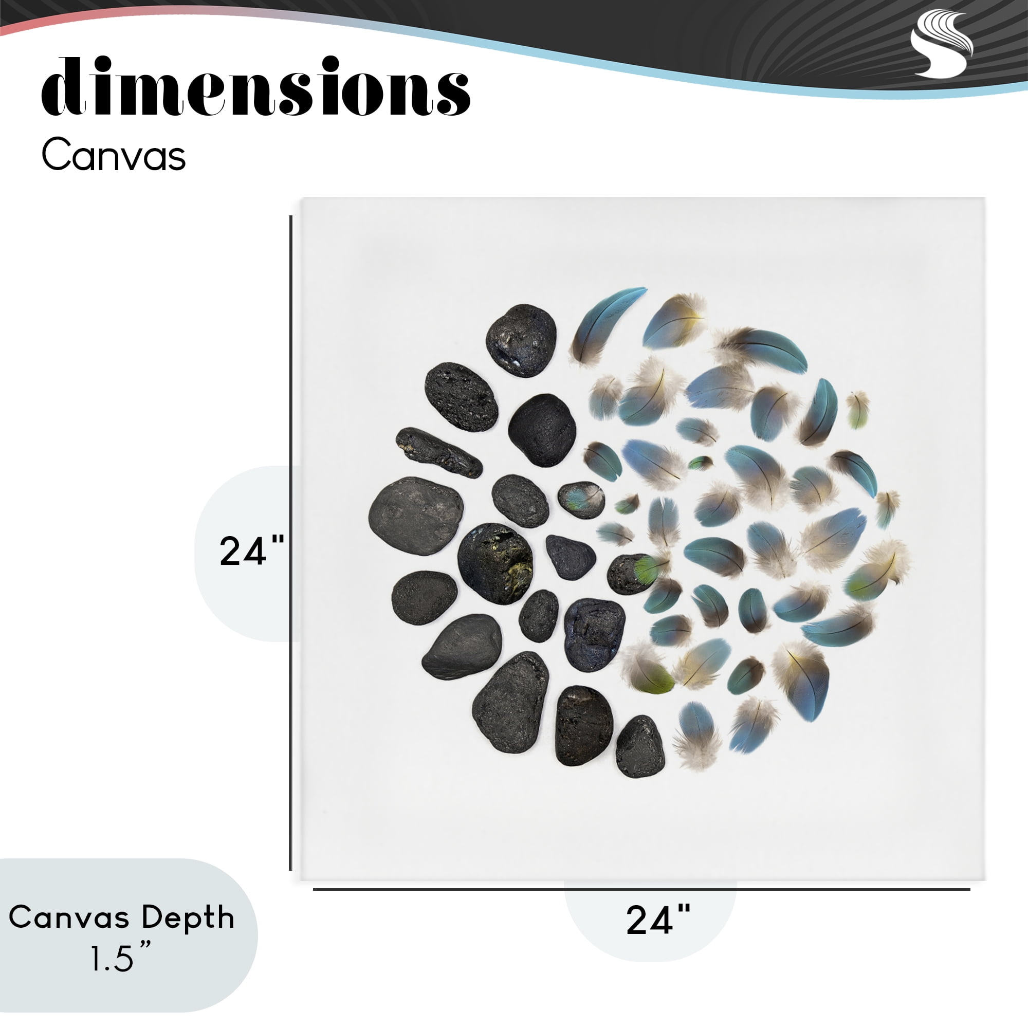 Stupell Industries Feathers & Rocks Collection Canvas Wall Art, design by Beth Adoette