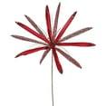 thumbnail image 1 of Semence de Fleur de Papyrus Rouge&44; 24 & 20 Po., 1 of 1