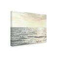 thumbnail image 2 of Sharon Chandler 'Uncharted I' Canvas Art, 2 of 3