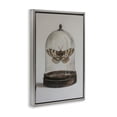 thumbnail image 4 of Stupell Industries Moth in Glass Cloche Animals Painting Gray Floater Framed Canvas Art Print Wall Art, 21 x 31, 4 of 10
