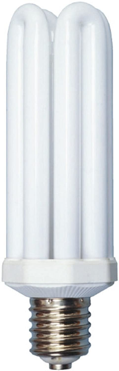 300 watt fluorescent bulb