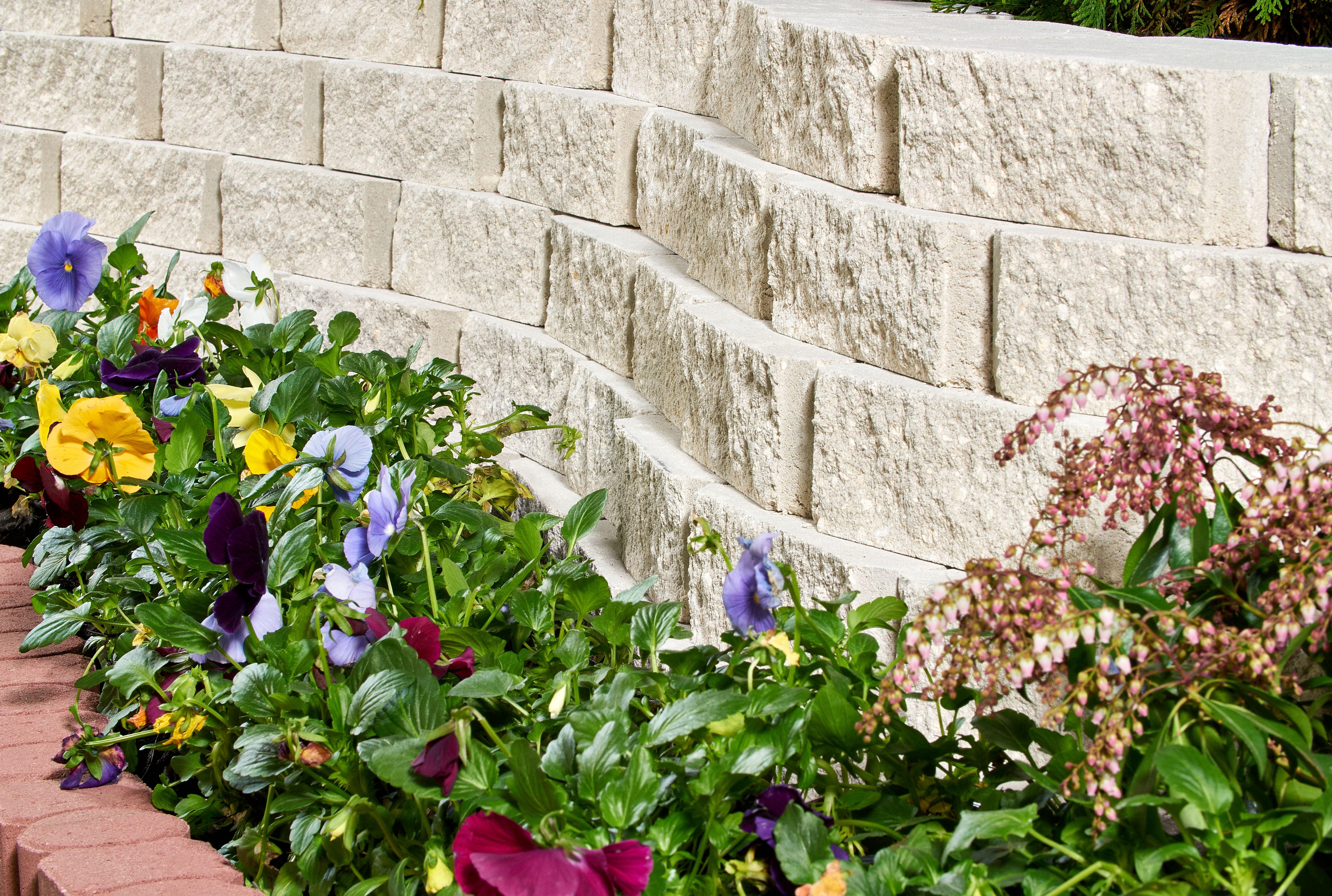 Pavestone 10"  Limestone (White) Concrete Retaining Wall