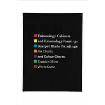 Damien Hirst: Entomology Cabinets and Entomology Paintings (Hardcover)