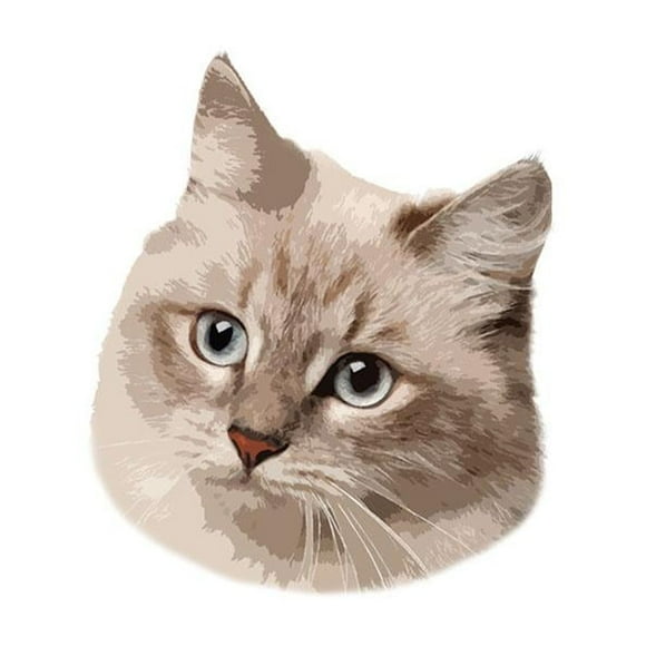 Custom Pet Portrait Rug Personalized Dog Rug Cat Door Mat Bedroom Floor Carpe пθ C5C8