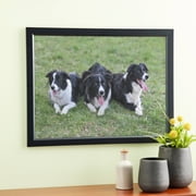 Studio Decor 18 x 24 Plastic Poster Frame, Ventura - Includes Pre-attached Hanging Hardware, Horizontal or Vertical Display - Black, Bulk 8 Pack